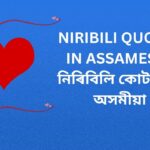 450+ Best Niribili Quotes In Assamese | নিৰিবিলি কোটছ ইন অসমীয়া